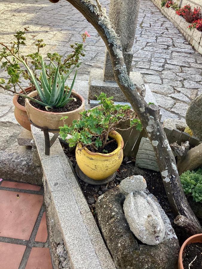 Apartmán Atico Con Terraza O Grove Exteriér fotografie